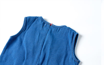 Adorable 2 - 7Y Blue Denim Sleeveless Dress | Puppy Embroidery | Round Neck | Invisible Zipper